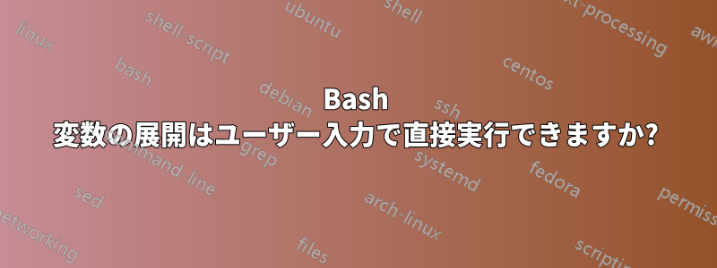 Bash 変数の展開はユーザー入力で直接実行できますか?