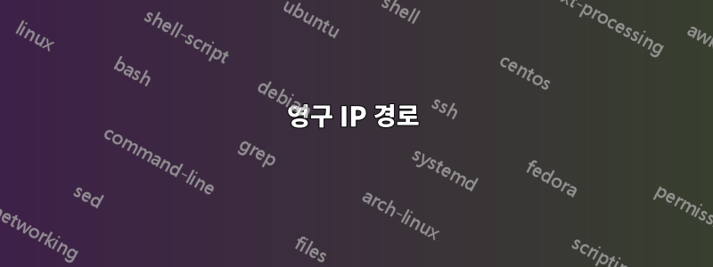 영구 IP 경로