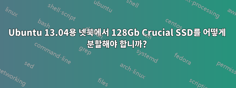 Ubuntu 13.04용 넷북에서 128Gb Crucial SSD를 어떻게 분할해야 합니까?