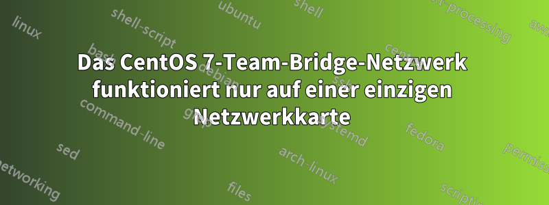 Das CentOS 7-Team-Bridge-Netzwerk funktioniert nur auf einer einzigen Netzwerkkarte