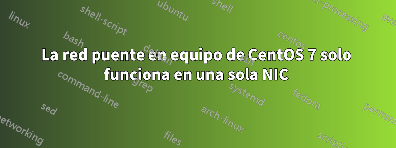 La red puente en equipo de CentOS 7 solo funciona en una sola NIC