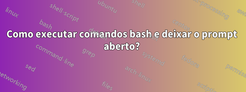 Como executar comandos bash e deixar o prompt aberto?