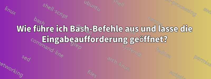 Wie führe ich Bash-Befehle aus und lasse die Eingabeaufforderung geöffnet?