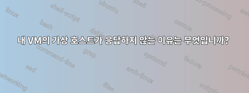 내 VM의 가상 호스트가 응답하지 않는 이유는 무엇입니까?