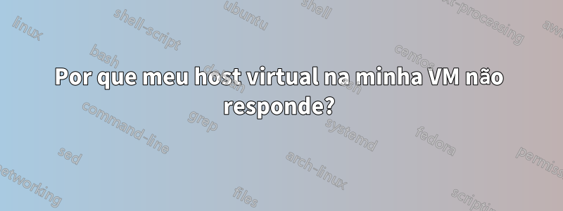 Por que meu host virtual na minha VM não responde?