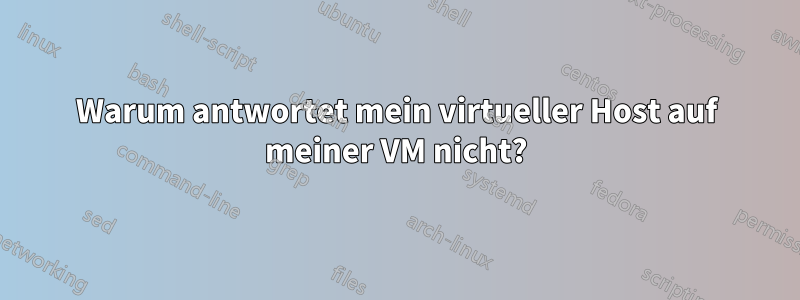Warum antwortet mein virtueller Host auf meiner VM nicht?