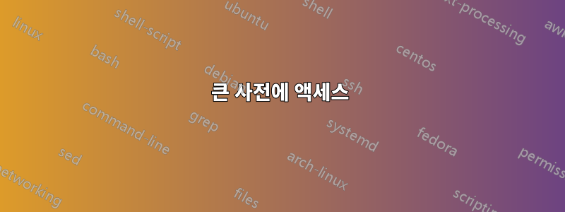 큰 사전에 액세스