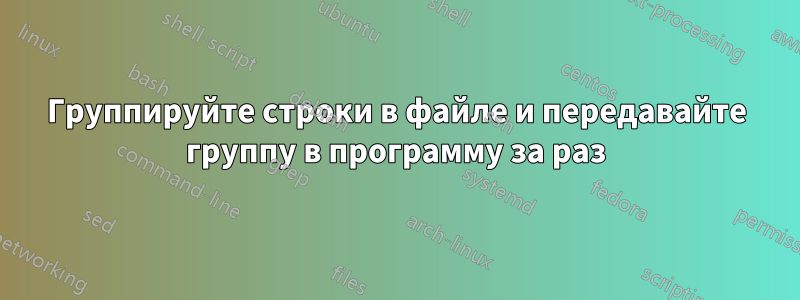 Группируйте строки в файле и передавайте группу в программу за раз