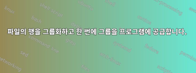 파일의 행을 그룹화하고 한 번에 그룹을 프로그램에 공급합니다.