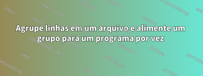 Agrupe linhas em um arquivo e alimente um grupo para um programa por vez