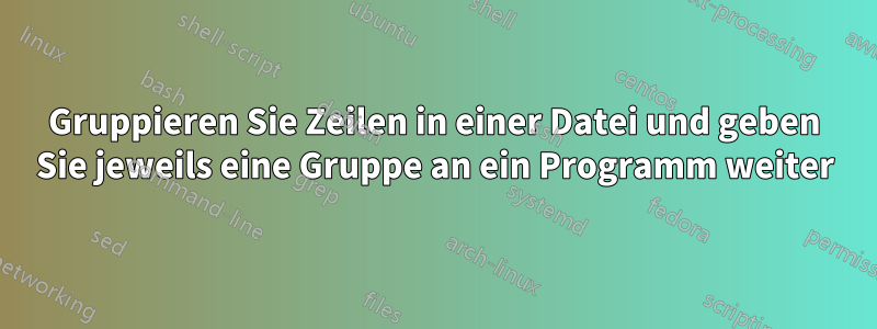 Gruppieren Sie Zeilen in einer Datei und geben Sie jeweils eine Gruppe an ein Programm weiter