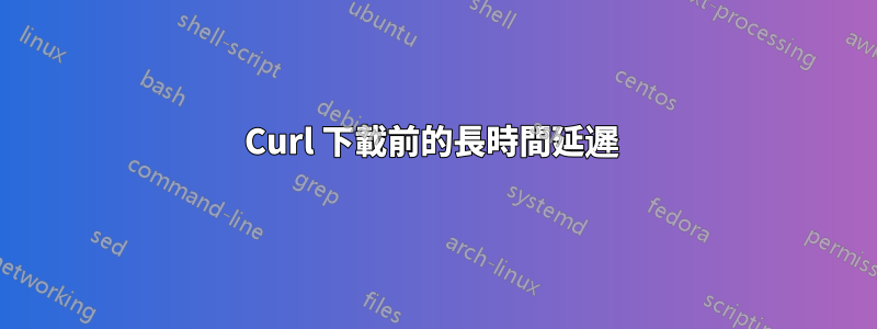 Curl 下載前的長時間延遲 