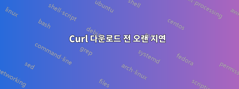 Curl 다운로드 전 오랜 지연 