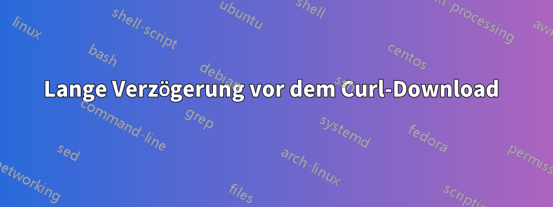 Lange Verzögerung vor dem Curl-Download 