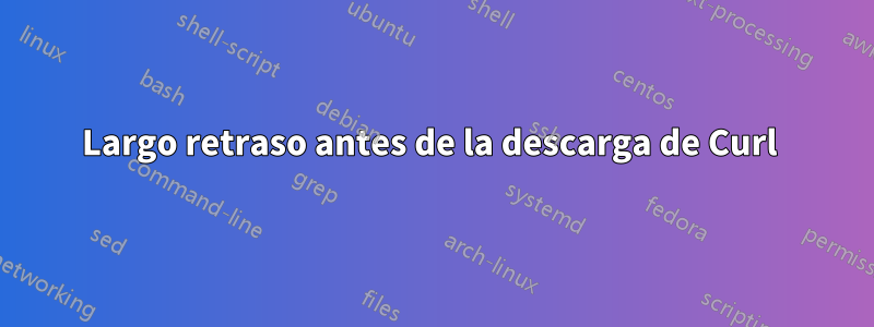Largo retraso antes de la descarga de Curl 