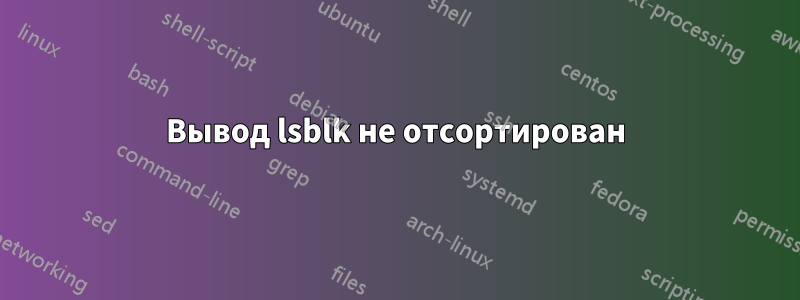 Вывод lsblk не отсортирован
