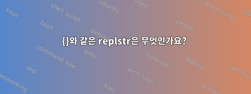 {}와 같은 replstr은 무엇인가요?