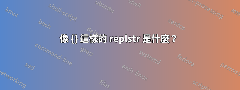 像 {} 這樣的 replstr 是什麼？