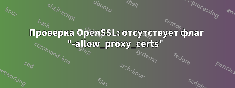 Проверка OpenSSL: отсутствует флаг "-allow_proxy_certs"