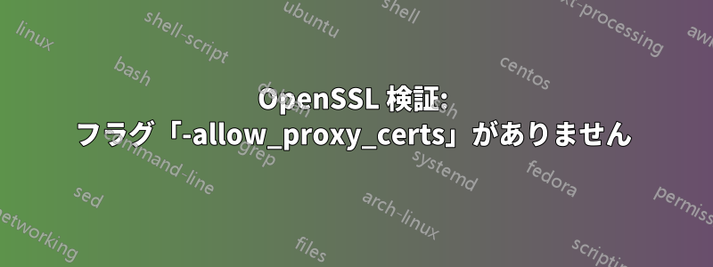 OpenSSL 検証: フラグ「-allow_proxy_certs」がありません