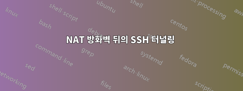 NAT 방화벽 뒤의 SSH 터널링