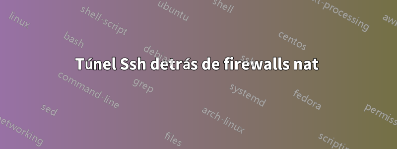 Túnel Ssh detrás de firewalls nat