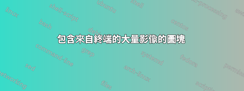 包含來自終端的大量影像的圖塊