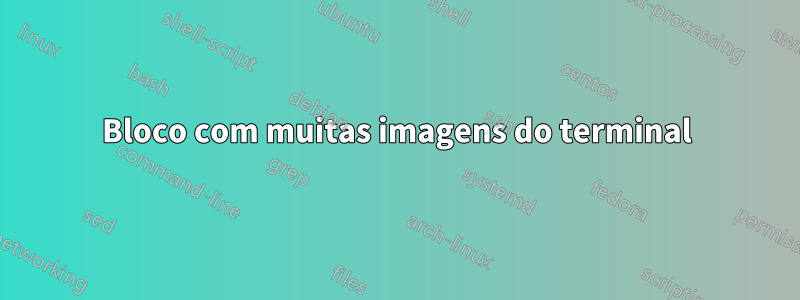 Bloco com muitas imagens do terminal