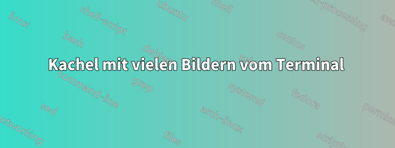Kachel mit vielen Bildern vom Terminal