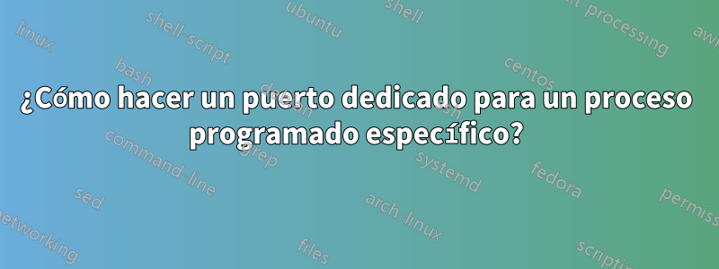 ¿Cómo hacer un puerto dedicado para un proceso programado específico?