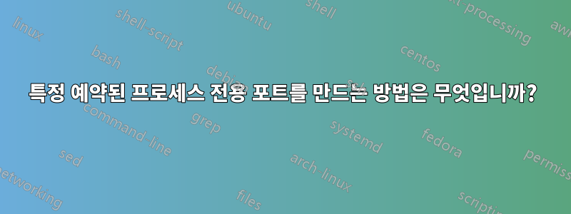 특정 예약된 프로세스 전용 포트를 만드는 방법은 무엇입니까?
