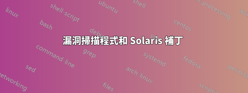 漏洞掃描程式和 Solaris 補丁