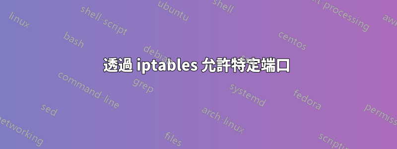 透過 iptables 允許特定端口
