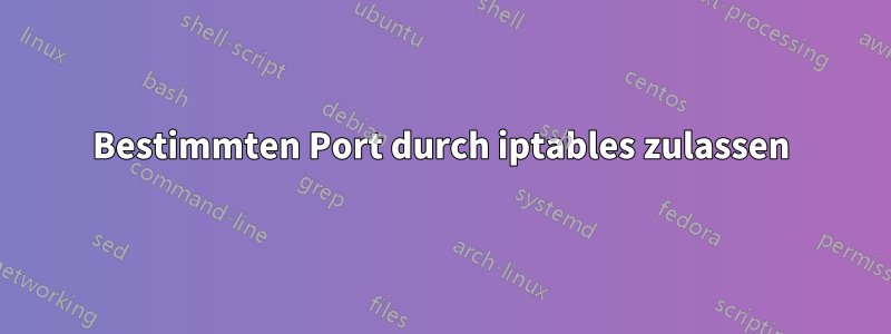 Bestimmten Port durch iptables zulassen
