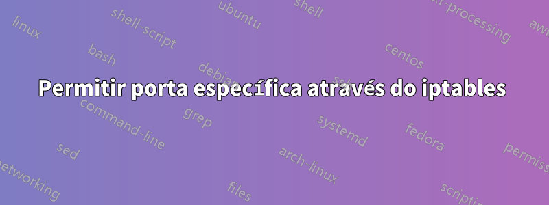 Permitir porta específica através do iptables