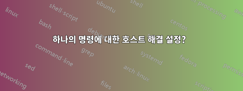 하나의 명령에 대한 호스트 해결 설정?