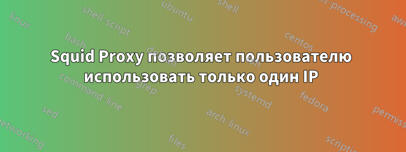 Squid Proxy позволяет пользователю использовать только один IP