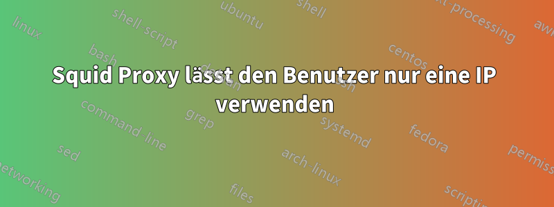 Squid Proxy lässt den Benutzer nur eine IP verwenden