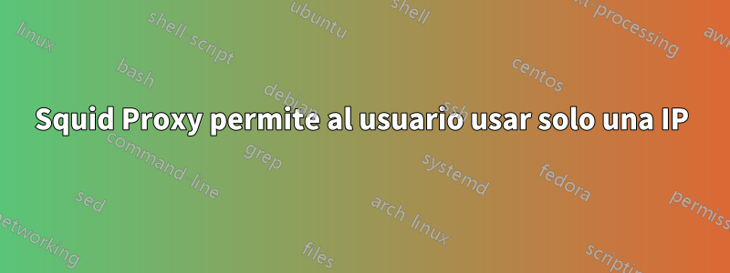 Squid Proxy permite al usuario usar solo una IP