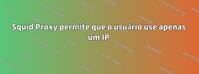 Squid Proxy permite que o usuário use apenas um IP