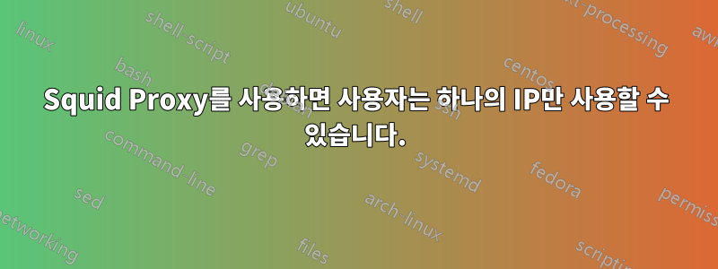 Squid Proxy를 사용하면 사용자는 하나의 IP만 사용할 수 있습니다.