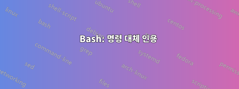 Bash: 명령 대체 인용