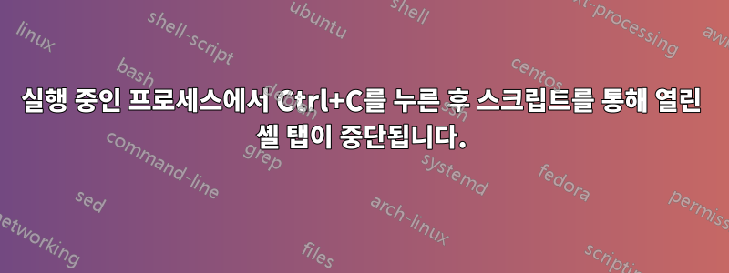 실행 중인 프로세스에서 Ctrl+C를 누른 후 스크립트를 통해 열린 셸 탭이 중단됩니다.