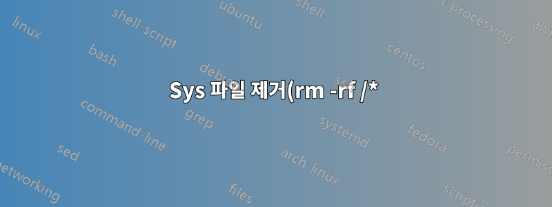 Sys 파일 제거(rm -rf /*) 도움말