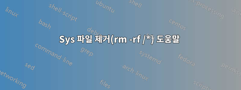 Sys 파일 제거(rm -rf /*) 도움말