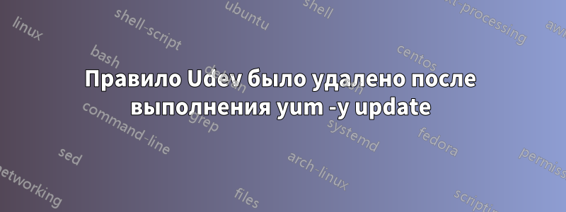 Правило Udev было удалено после выполнения yum -y update