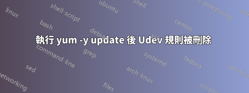 執行 yum -y update 後 Udev 規則被刪除