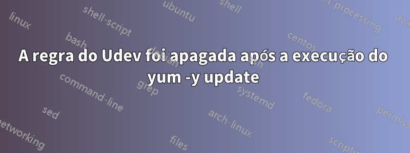 A regra do Udev foi apagada após a execução do yum -y update