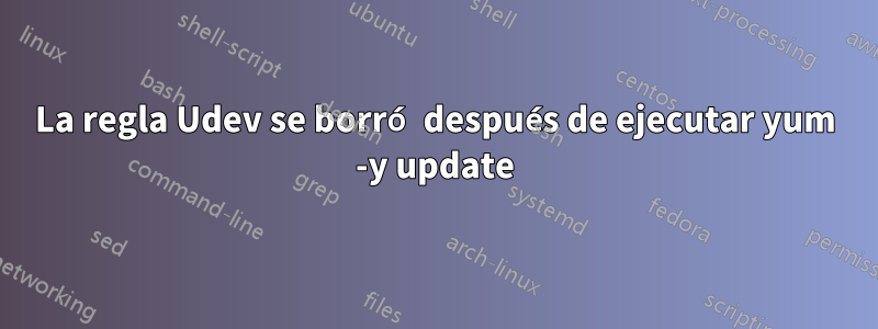 La regla Udev se borró después de ejecutar yum -y update