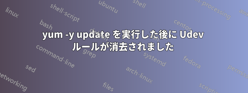 yum -y update を実行した後に Udev ルールが消去されました